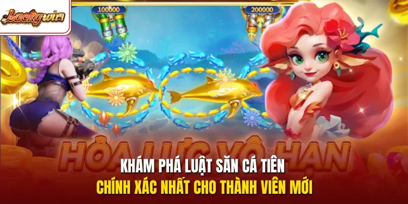 Khám phá luật săn cá tiên chính xác nhất cho thành viên mới